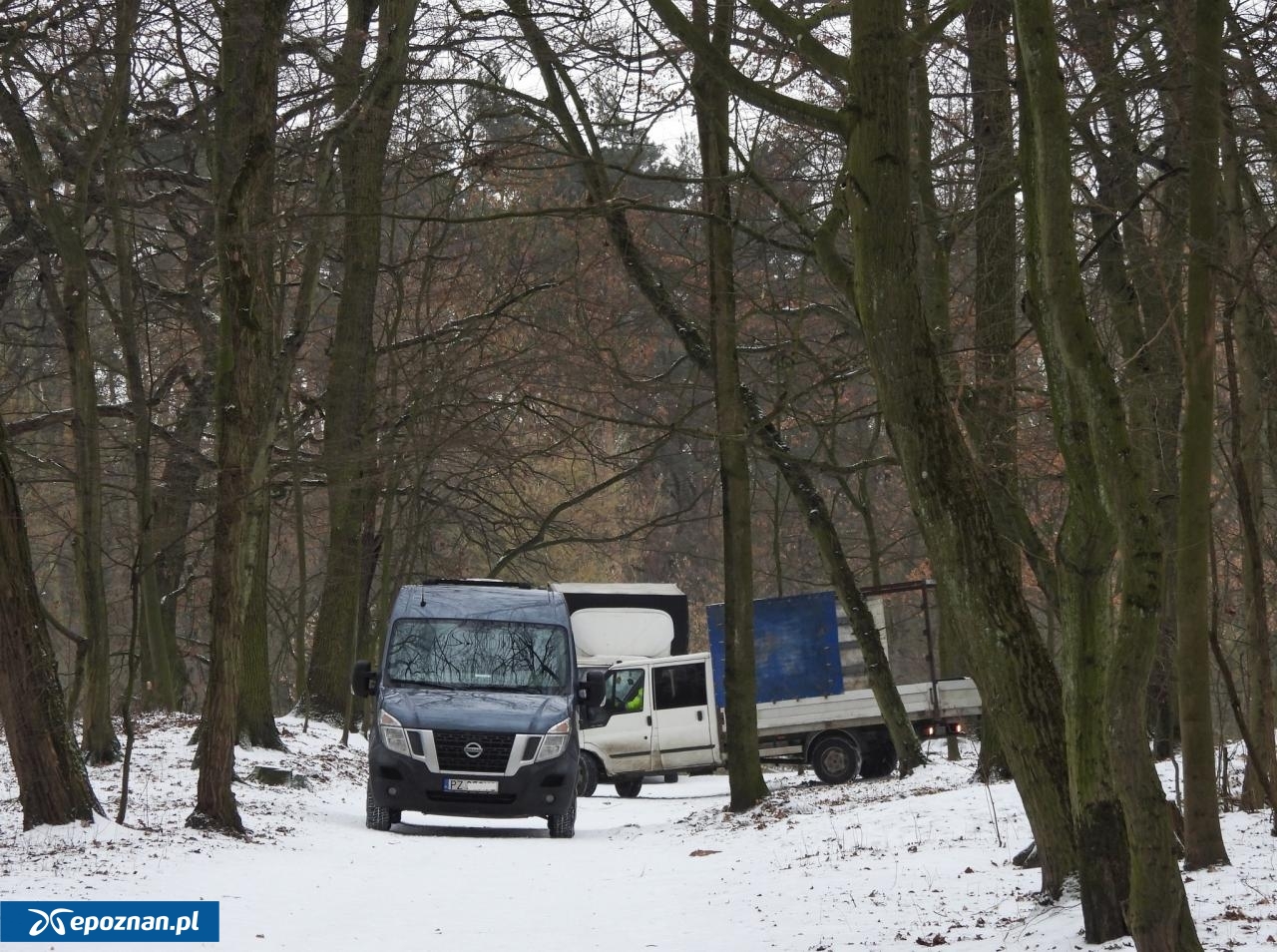 fot. Tomasz Zdulski / Dzika Dębina FB