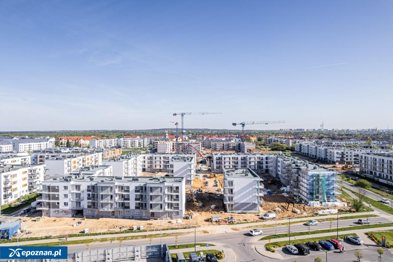 Zaskakująca zmiana na stanowisku prezesa PTBS. "Wyrzucony został z dnia na dzień"