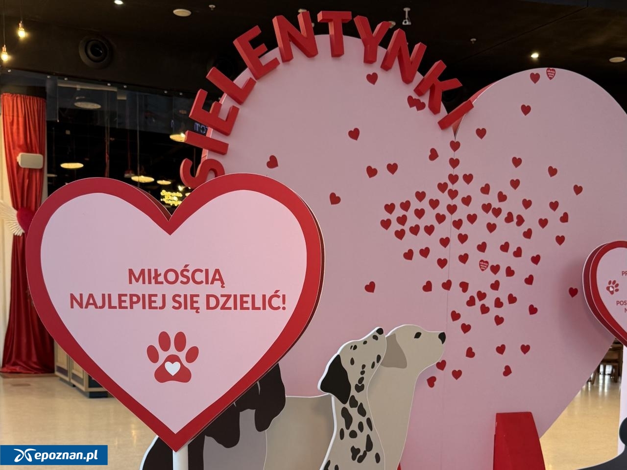 fot. Galeria Posnania