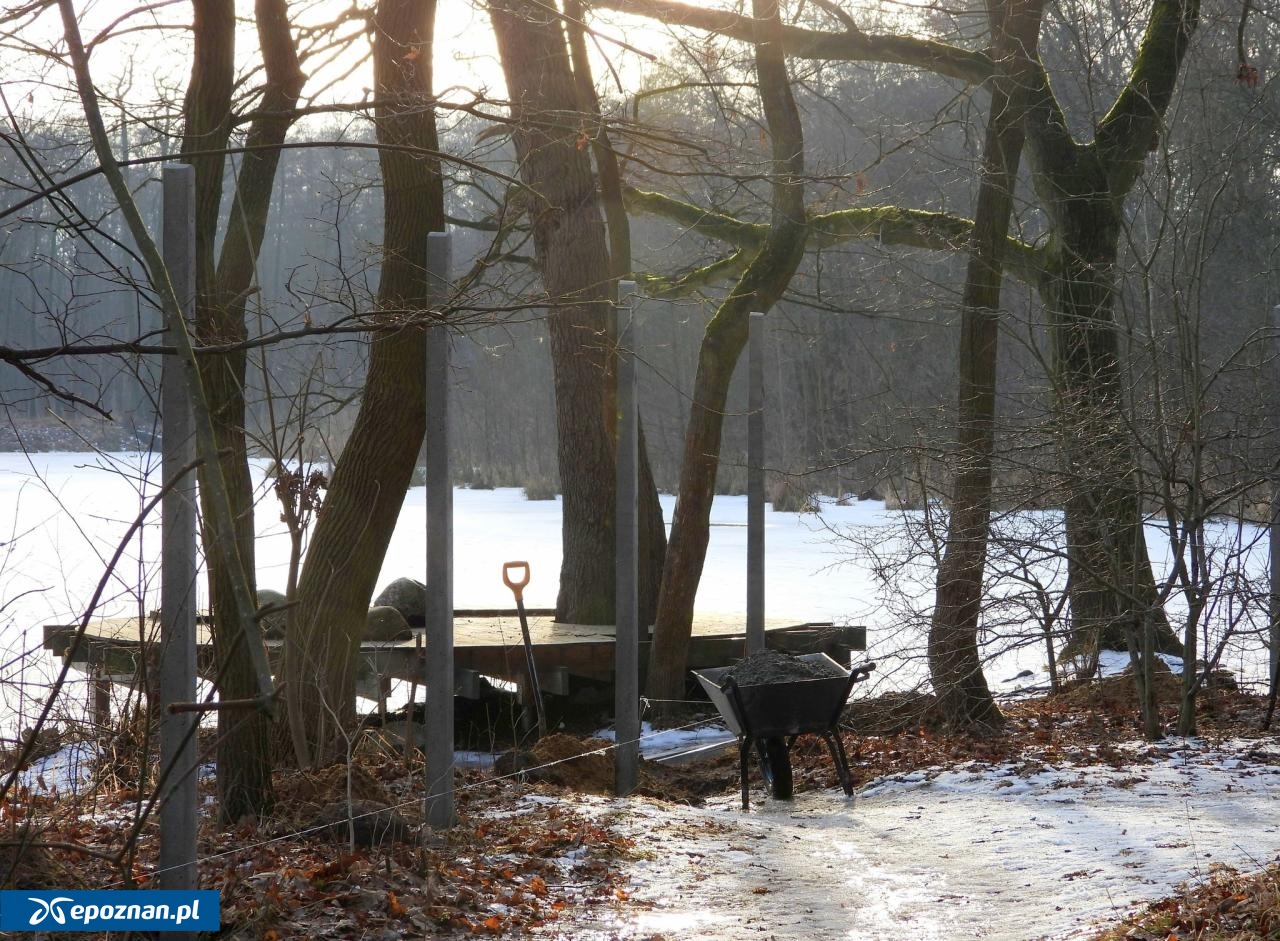 fot. Tomasz Zdulski / Dzika Dębina FB