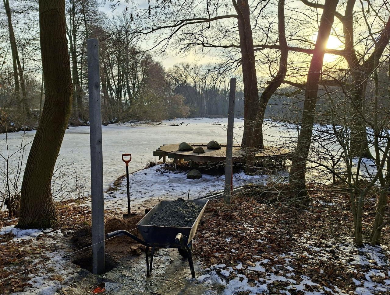 Płot nad stawem na Dębinie... odgrodzi popularną platformę do obserwacji ptaków. "Bareja by tego nie wymyślił"