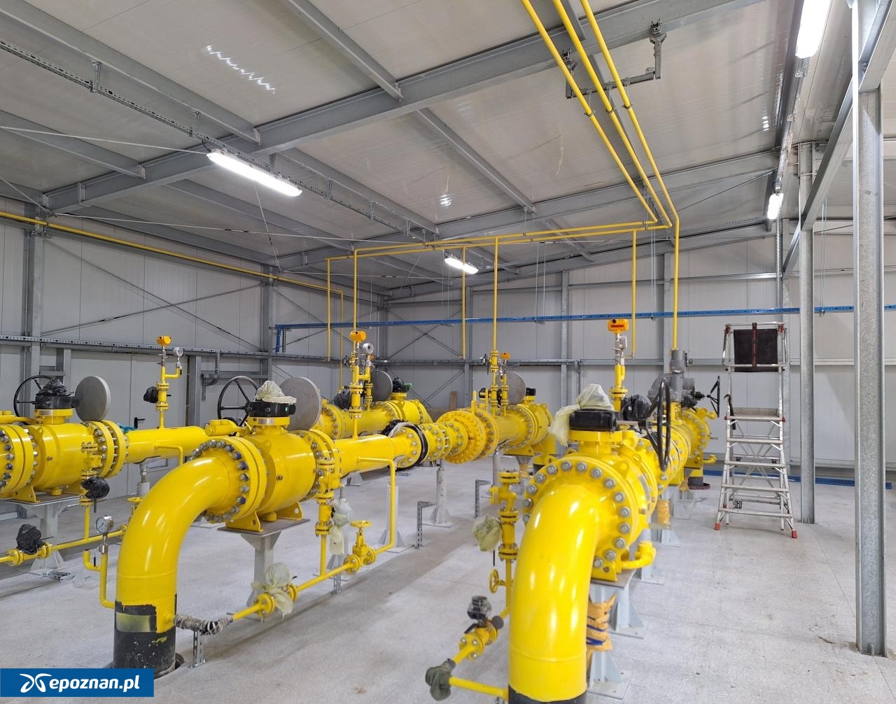 fot. materiały prasowe