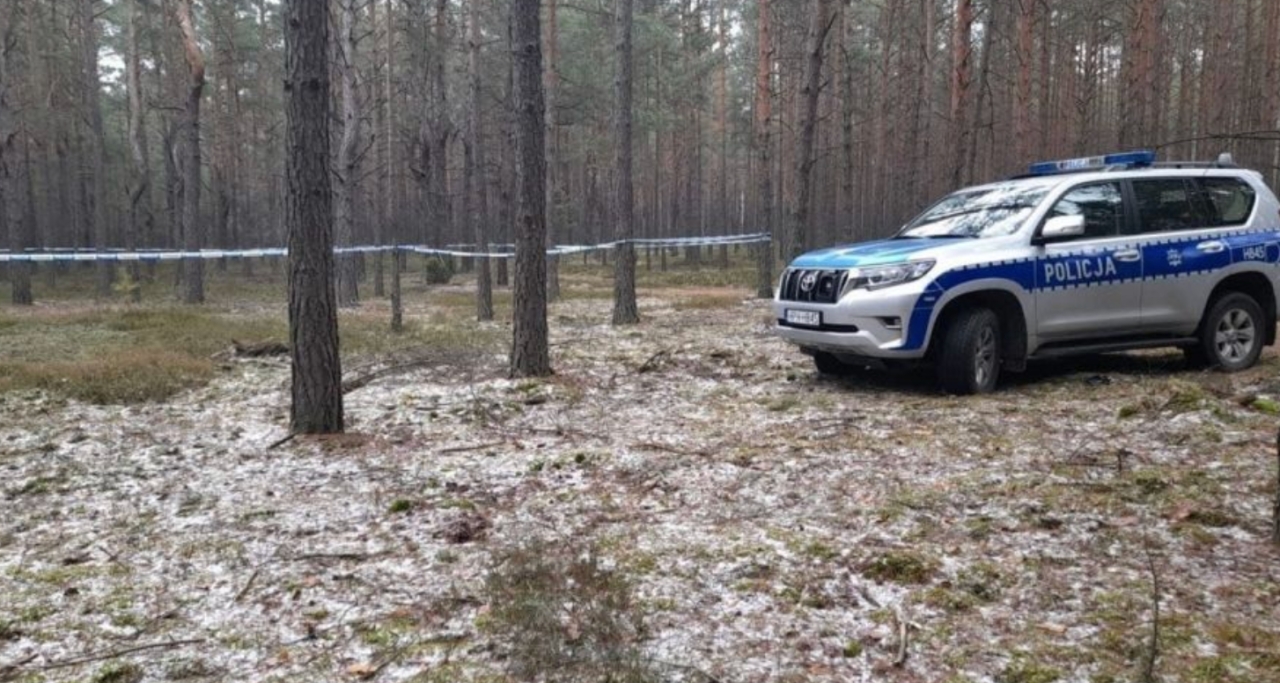 Dramatyczne odkrycie w lesie na południu regionu
