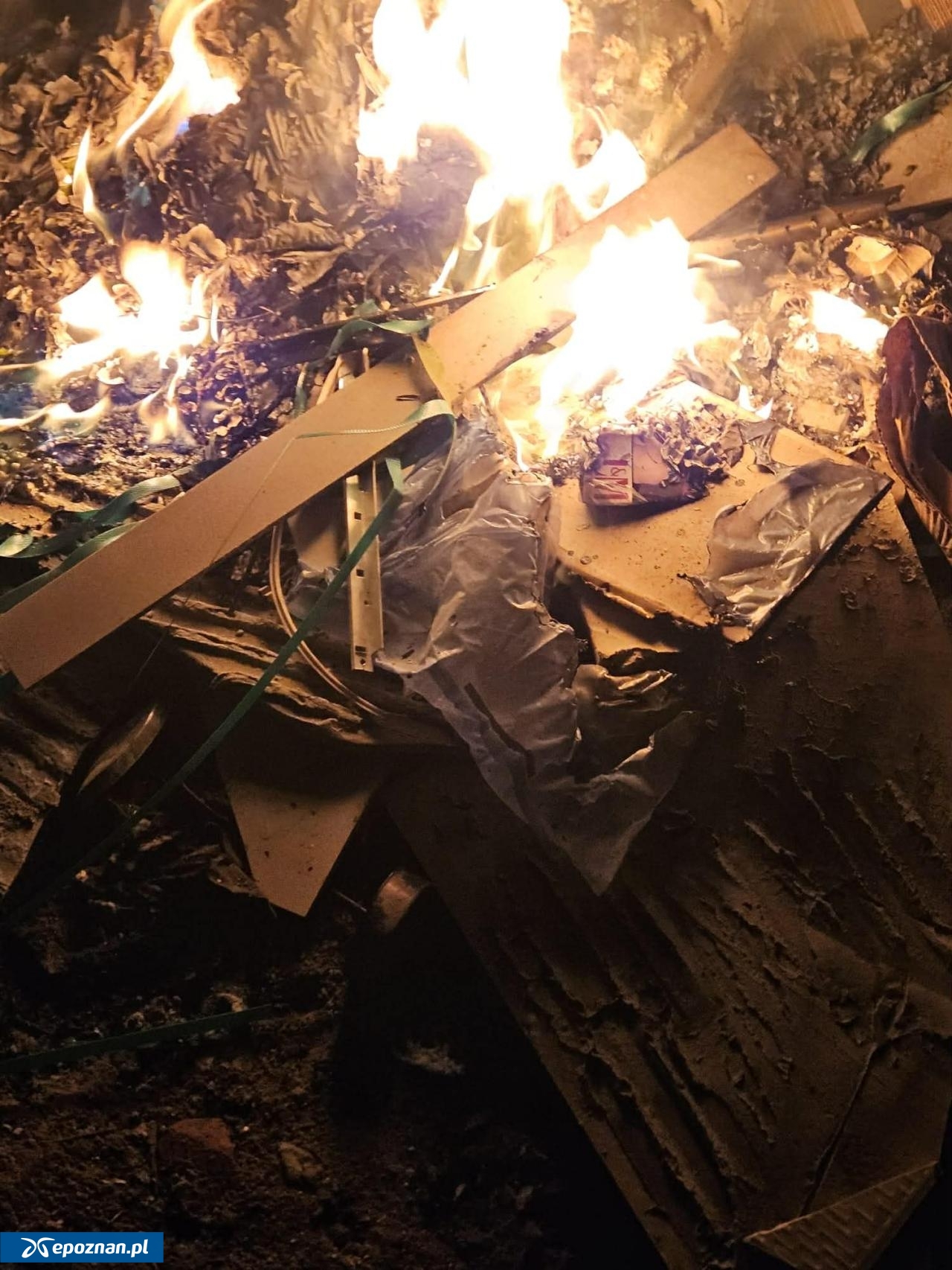 fot. Straż Miejska Gostyń / FB