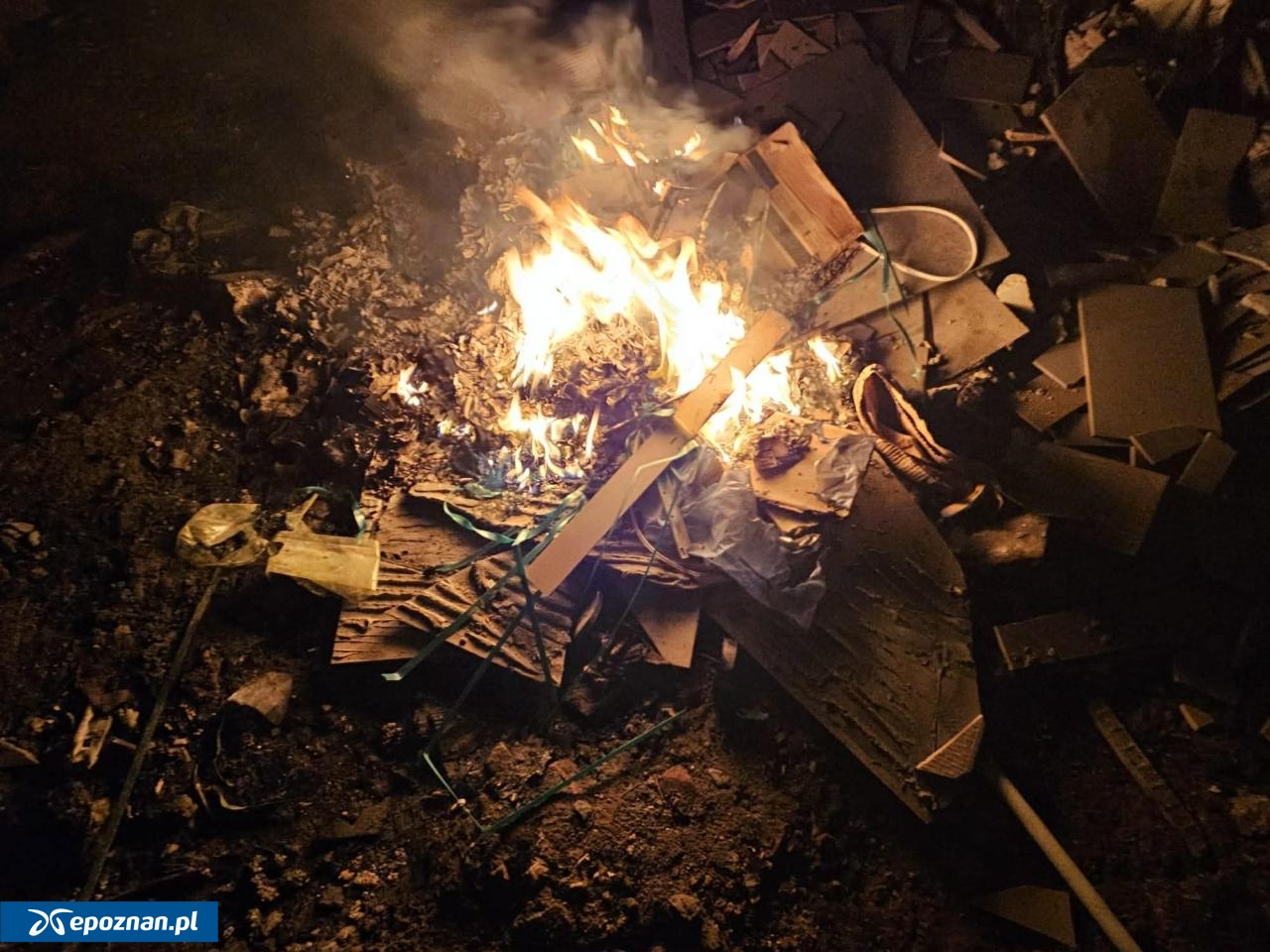 fot. Straż Miejska Gostyń / FB