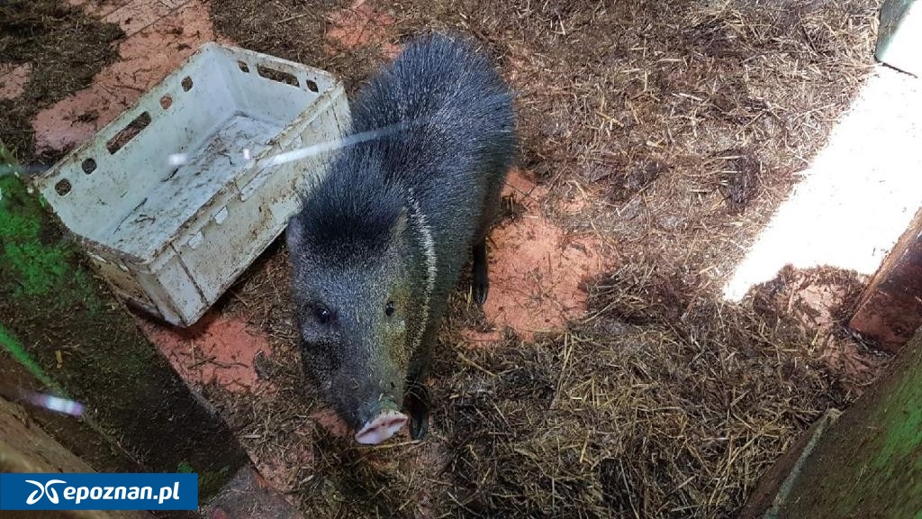 archiwum | fot. Izba Administracji Skarbowej w Poznaniu