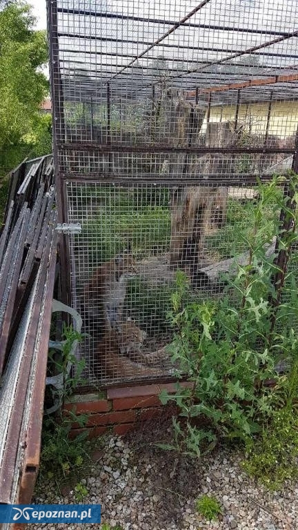 archiwum | fot. Izba Administracji Skarbowej w Poznaniu