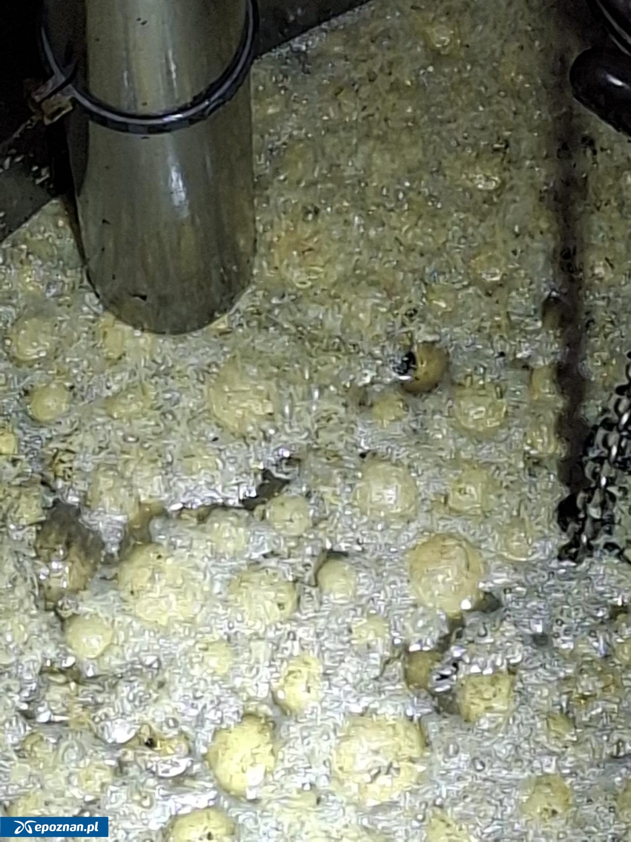 fot. Wodociągi Kępińskie / FB