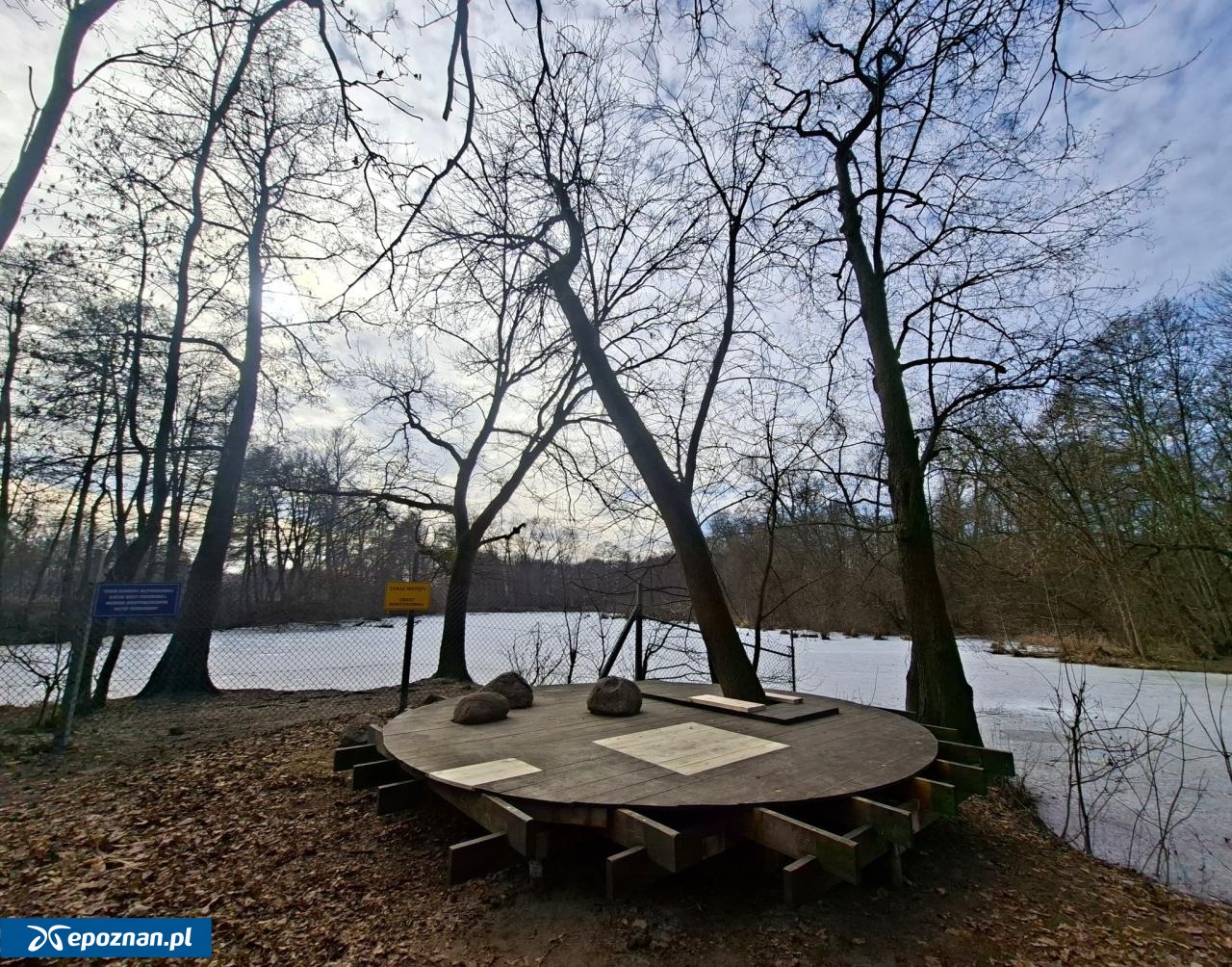 fot. Tomasz Zdulski / Dzika Dębina FB