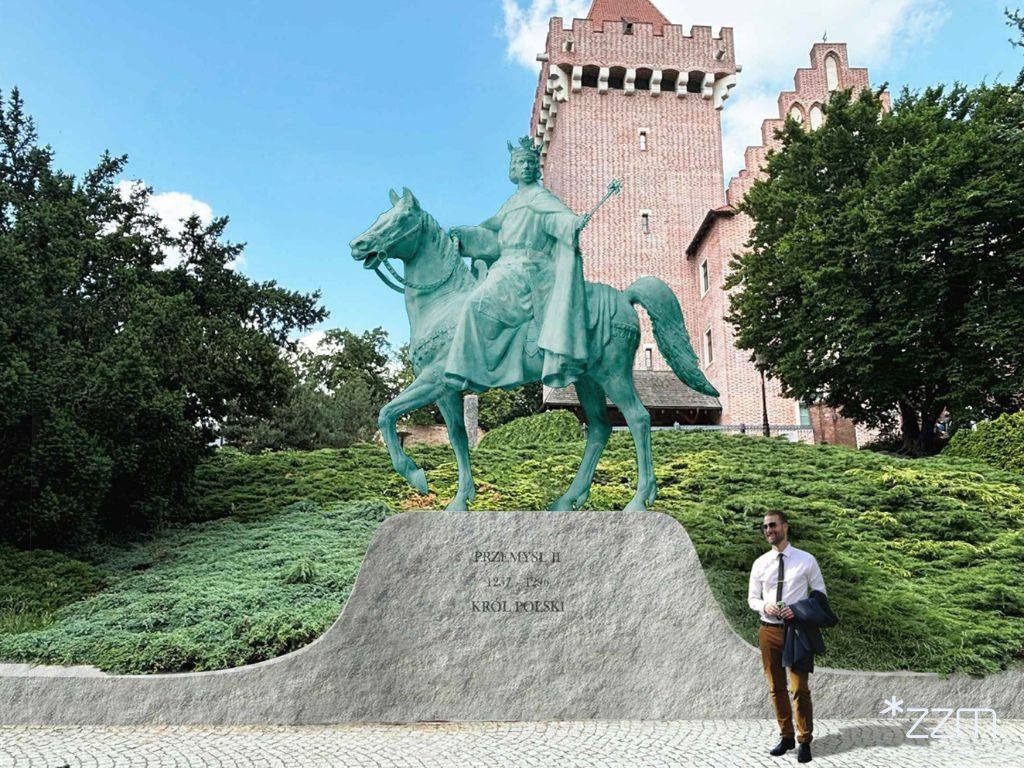 wizualizacja | fot. ZZM Poznań