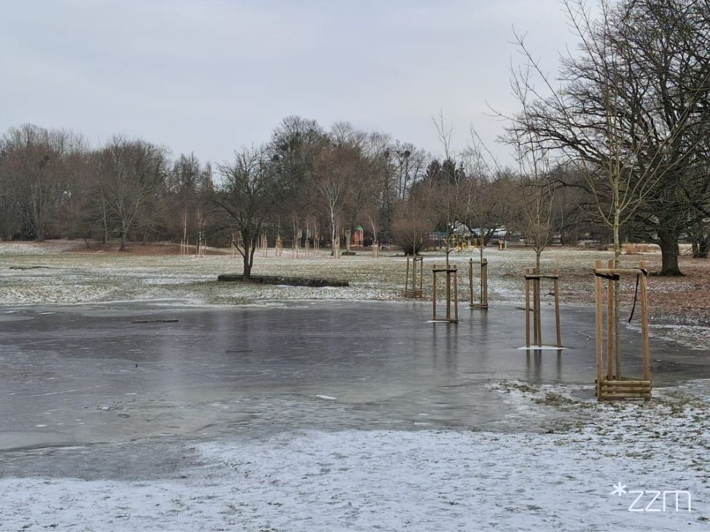 Taki widok w jednym z poznańskich parków. "Niczym dzikie lodowisko"