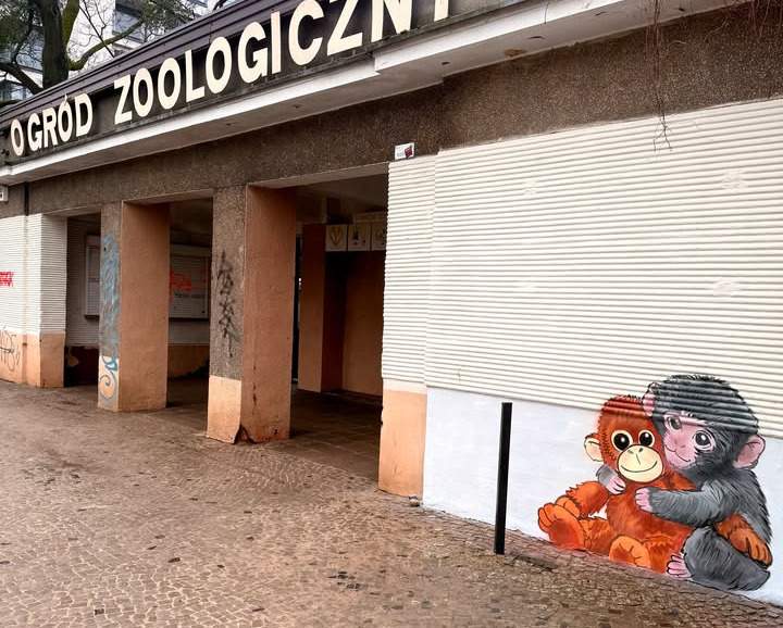 Poznański artysta przyłapany przy Starym ZOO. "Skuli go w kajdanki i odprowadzili do radiowozu"