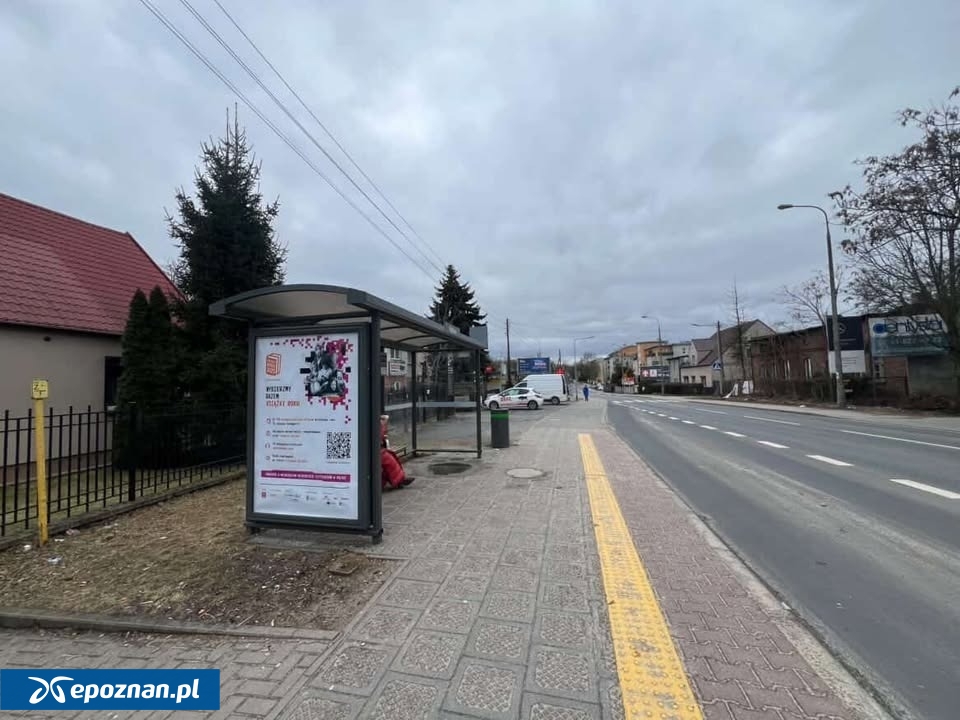 fot. Stanisław Mazurczak