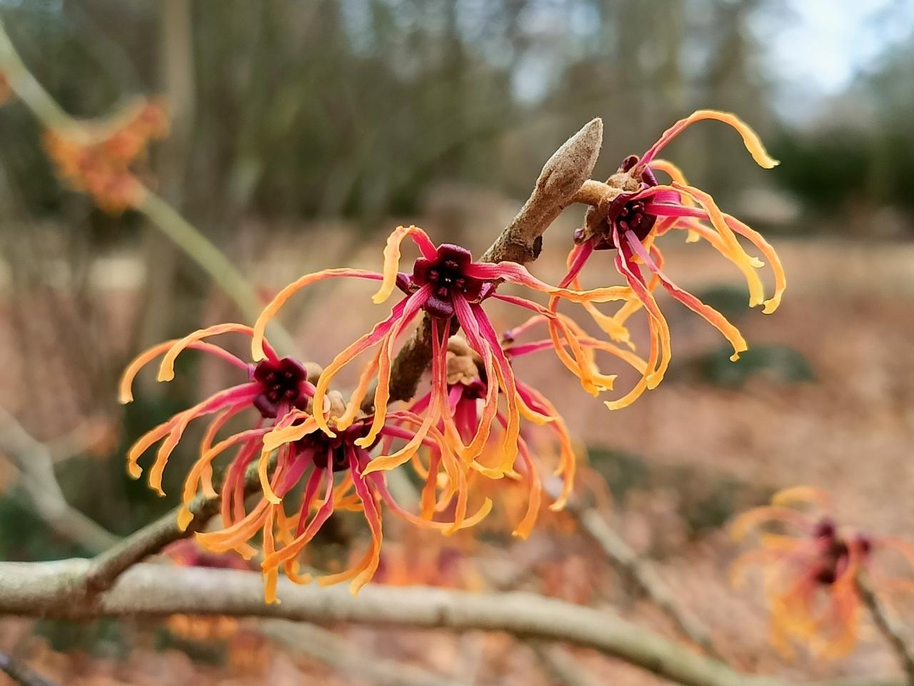 W końcu widać oznaki wiosny! Przed nami choćby 15 stopni