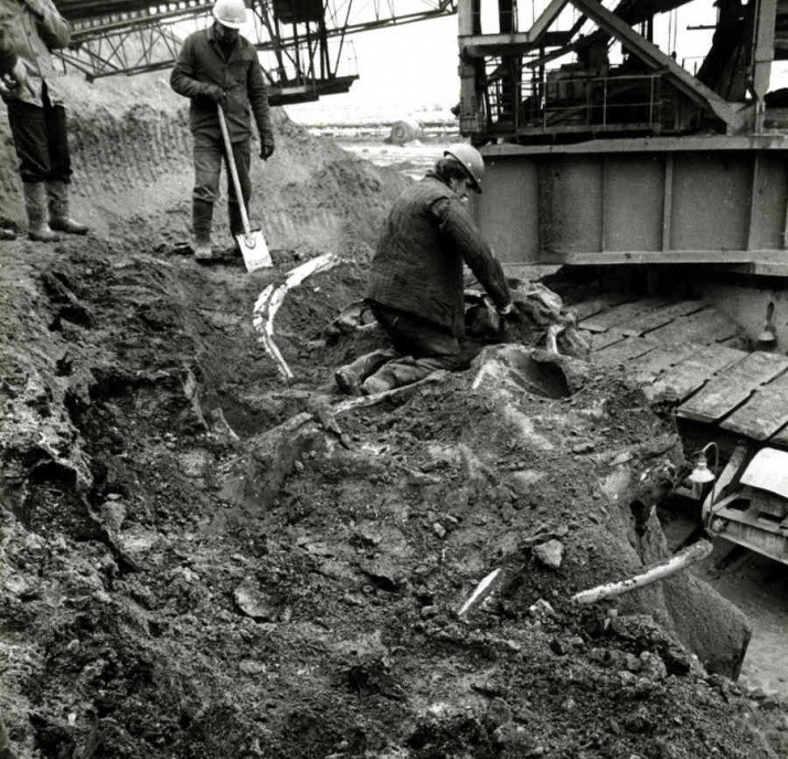 fot. Muzeum Okręgowe w Koninie / FB