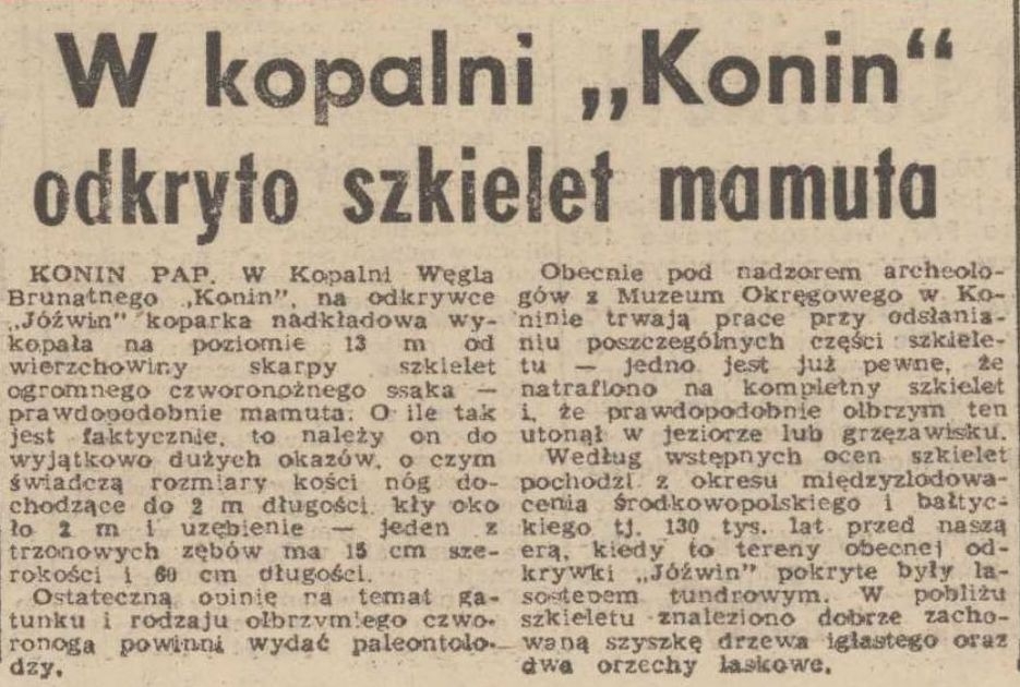 fot. Muzeum Okręgowe w Koninie / FB