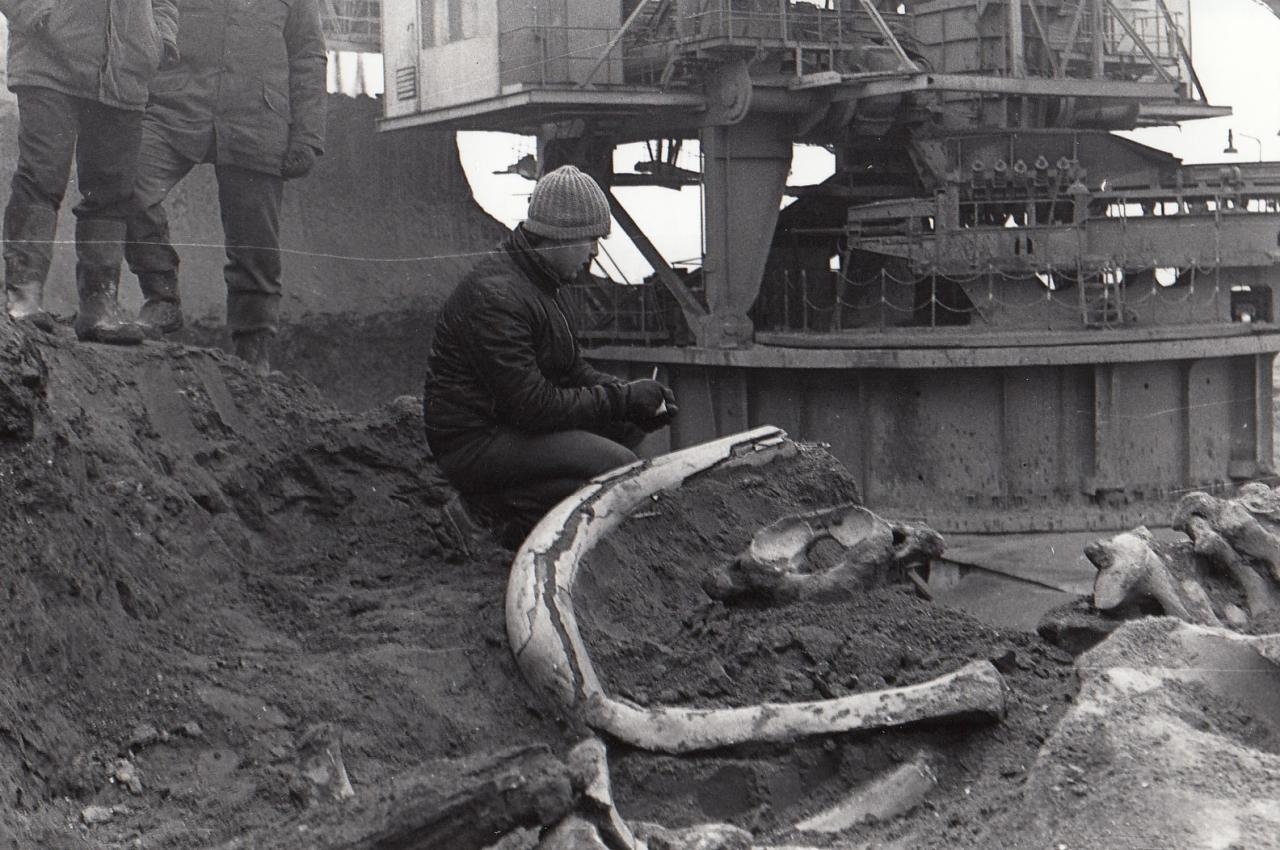 fot. Muzeum Okręgowe w Koninie / FB
