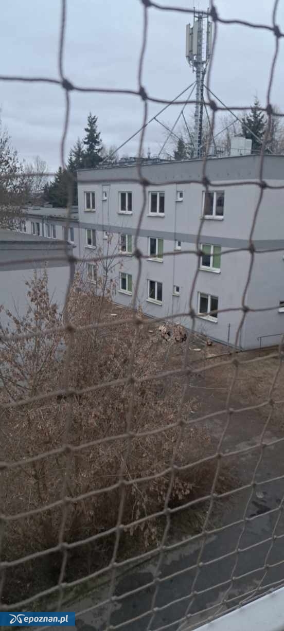 Tak jest | fot. Dominika