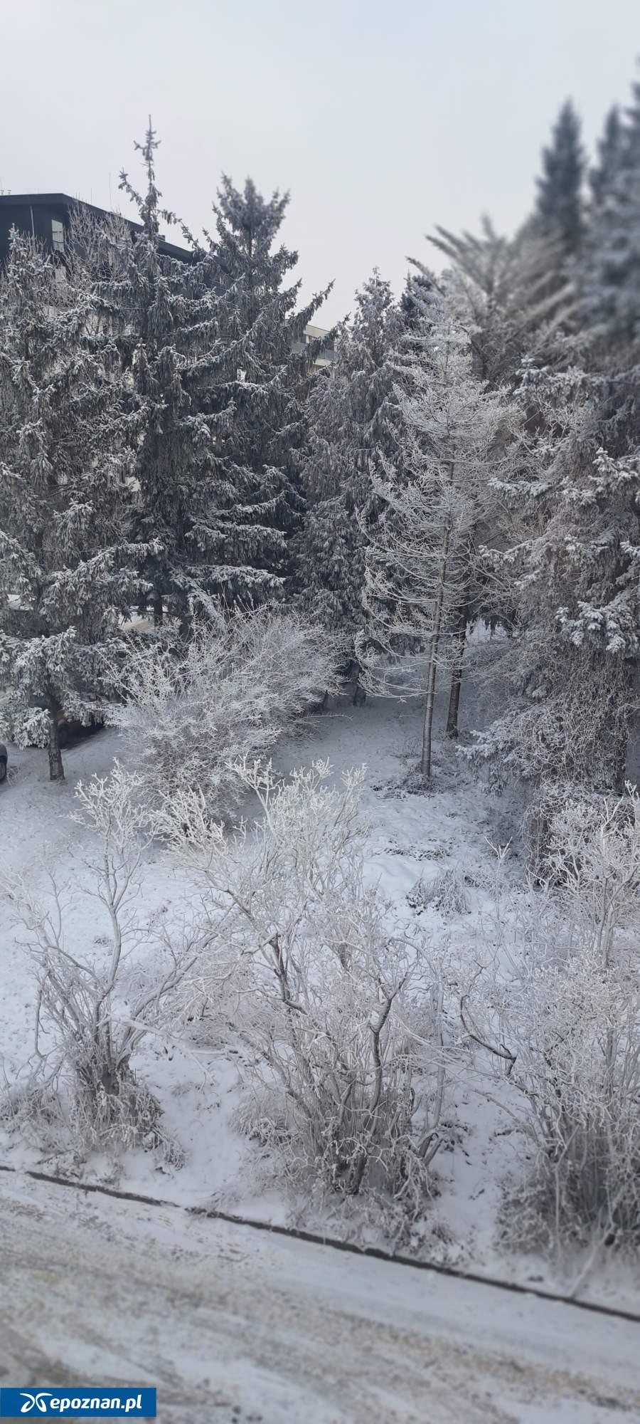 Tak było | fot. Dominika