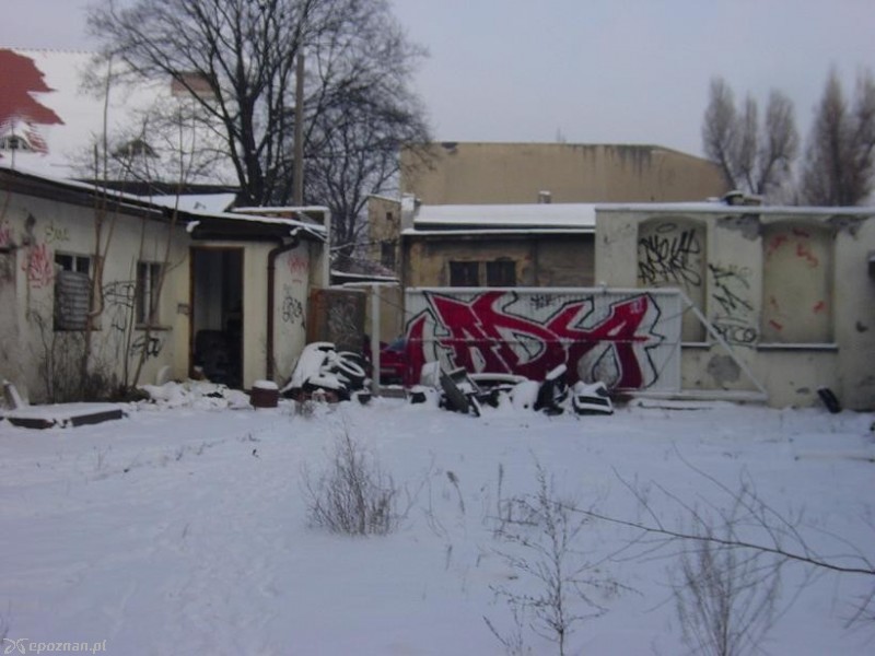 fot. Nishio Poznań