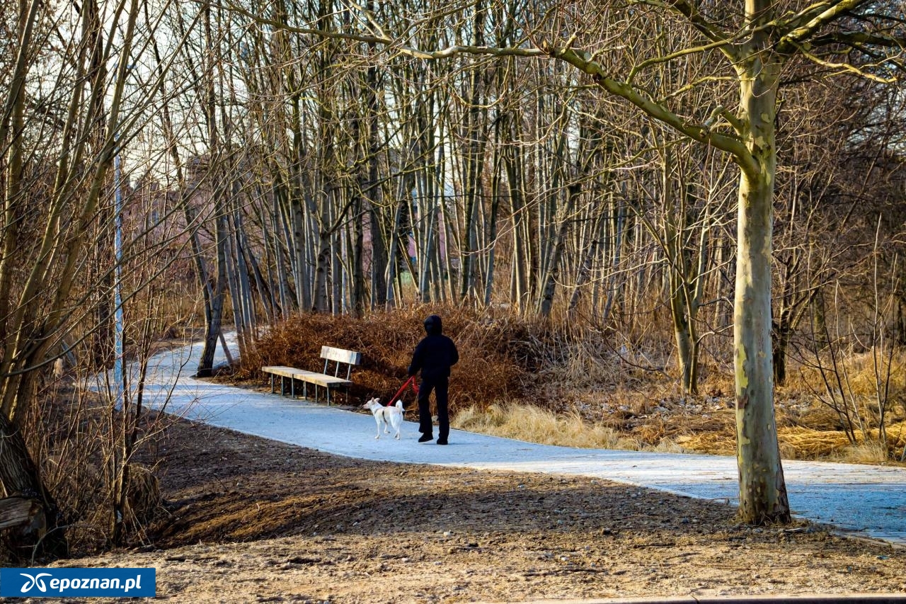 fot. Miasto Luboń / FB