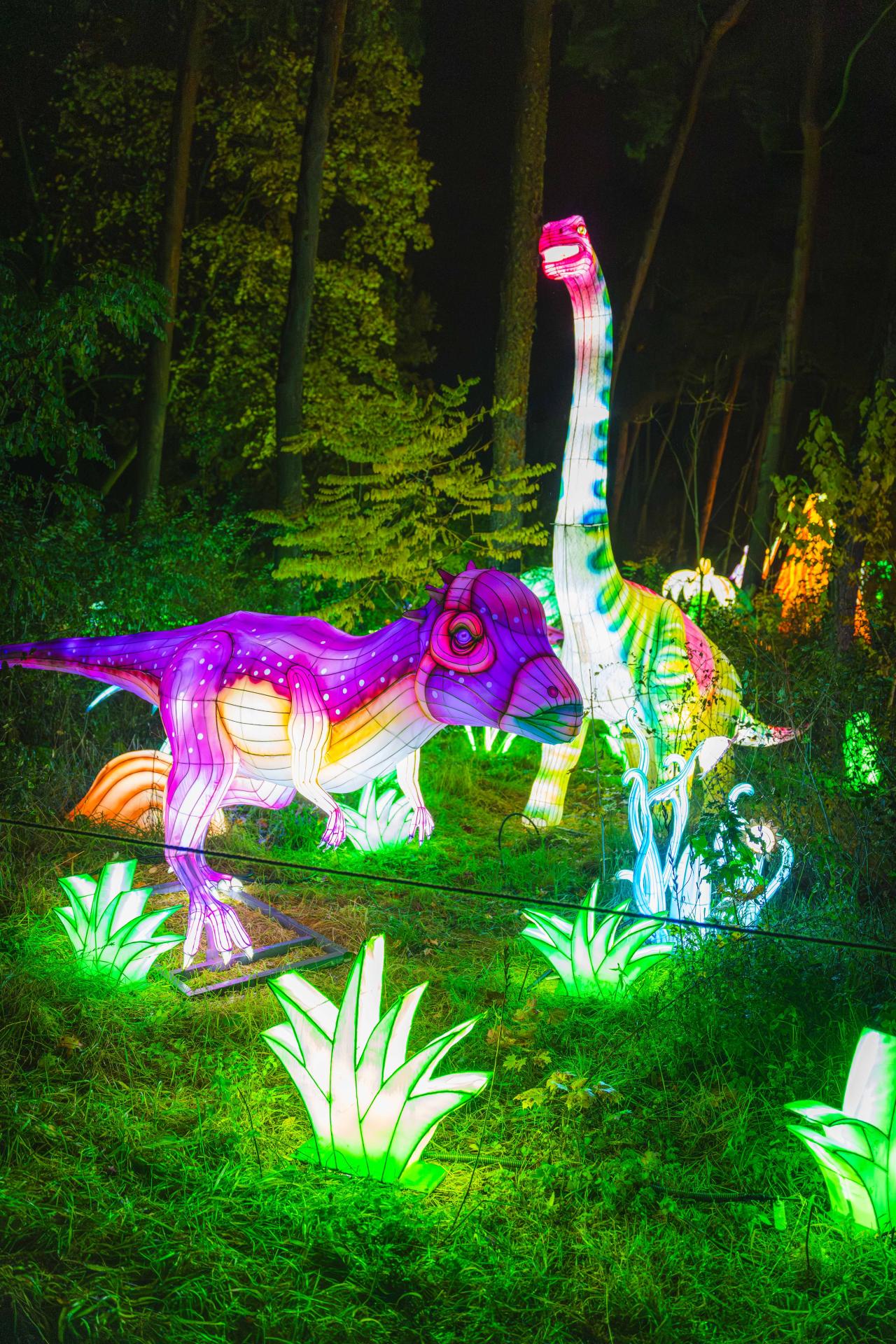 Ostatni moment, by odwiedzić to magiczne miejsce w Poznaniu