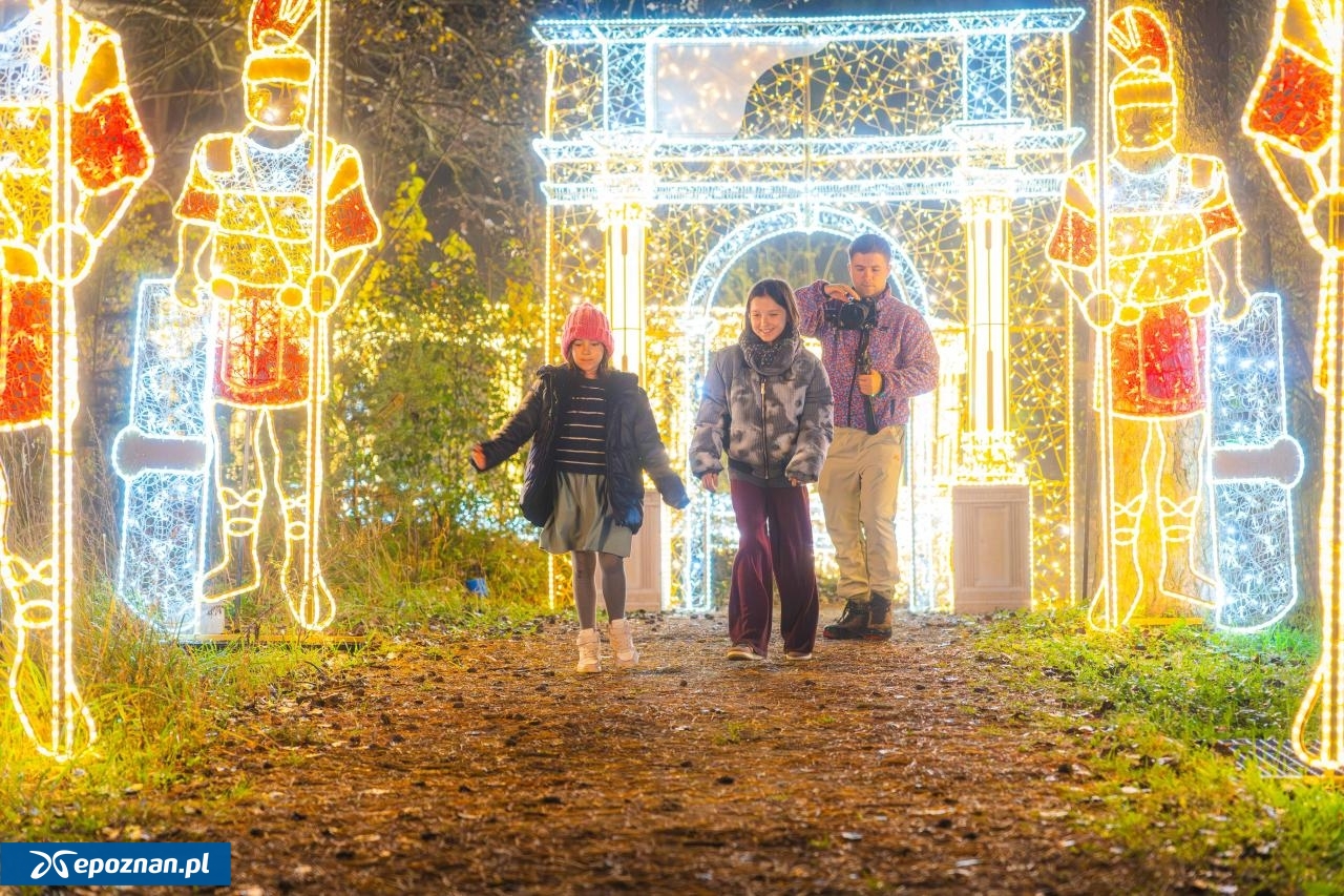 fot. Materiały prasowe