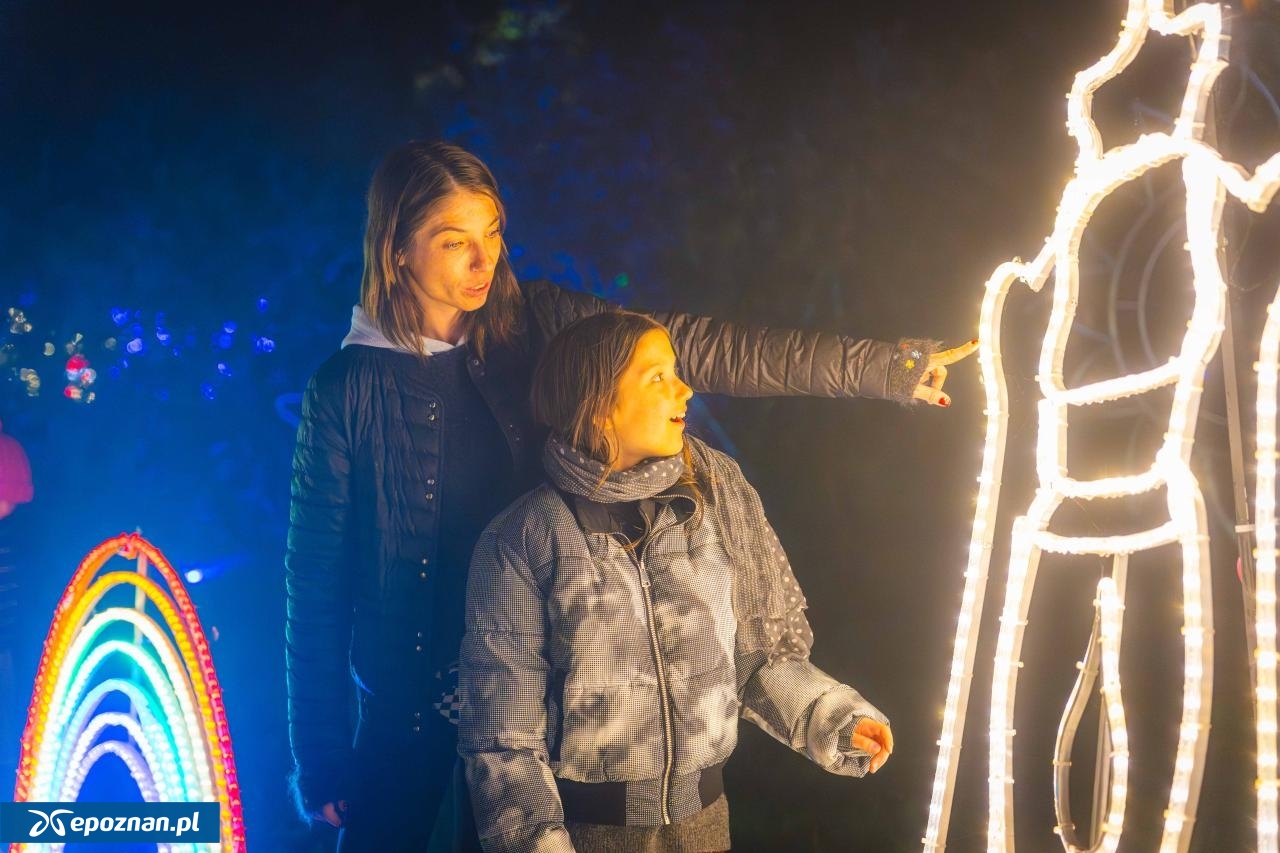 fot. Materiały prasowe