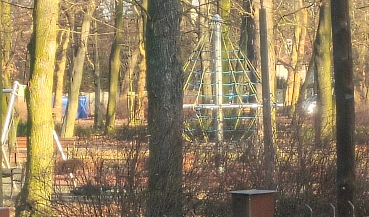 Policyjny parawan w poznańskim parku. Znaleziono zwłoki