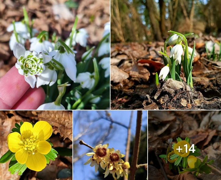 Taki widok w popularnym miejscu pod Poznaniem