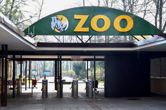 Zmiany w Poznańskim ZOO. Można się wybrać na dłuższe spacery