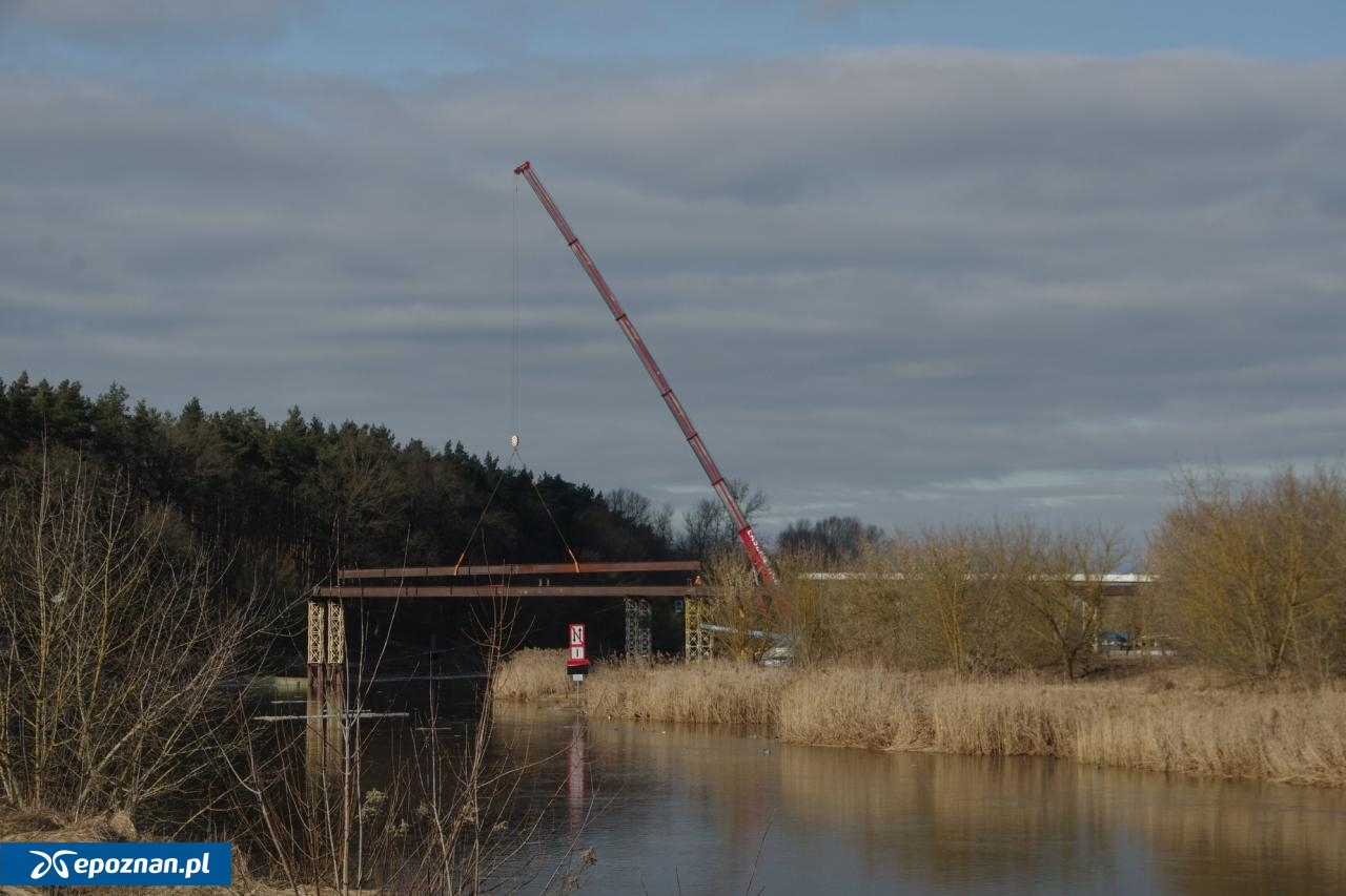 fot. Józef Topolewski