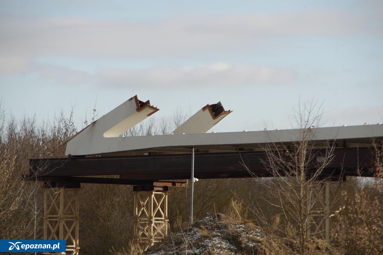 fot. Józef Topolewski