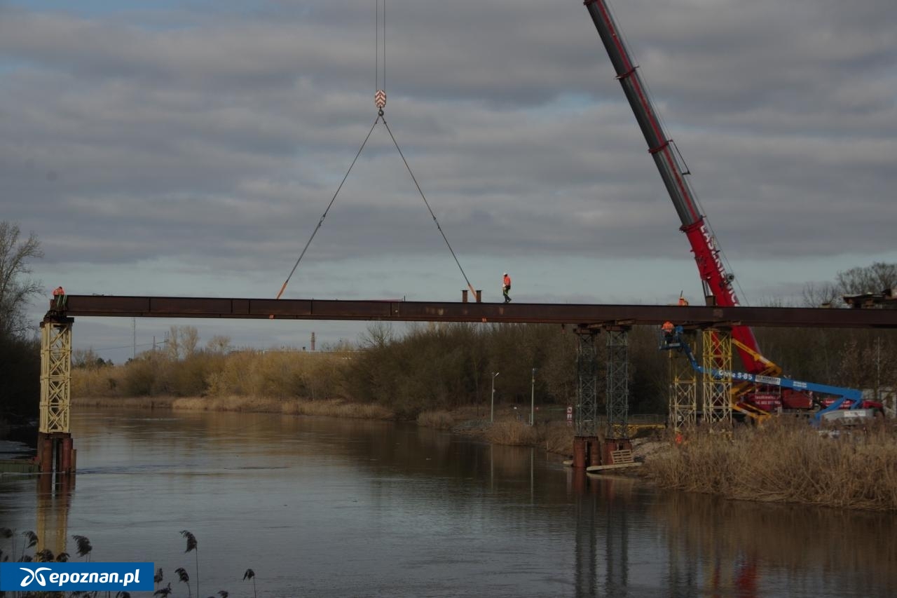 fot. Józef Topolewski