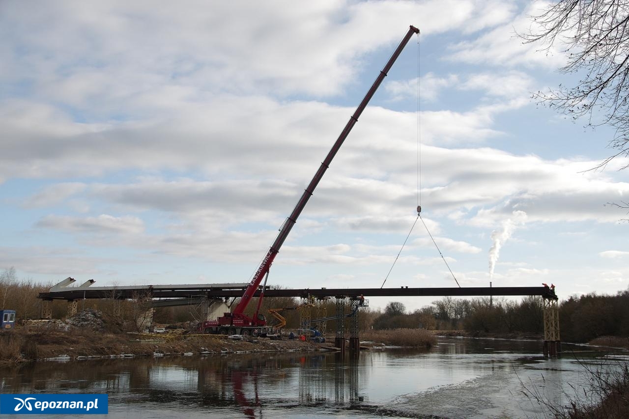 fot. Józef Topolewski