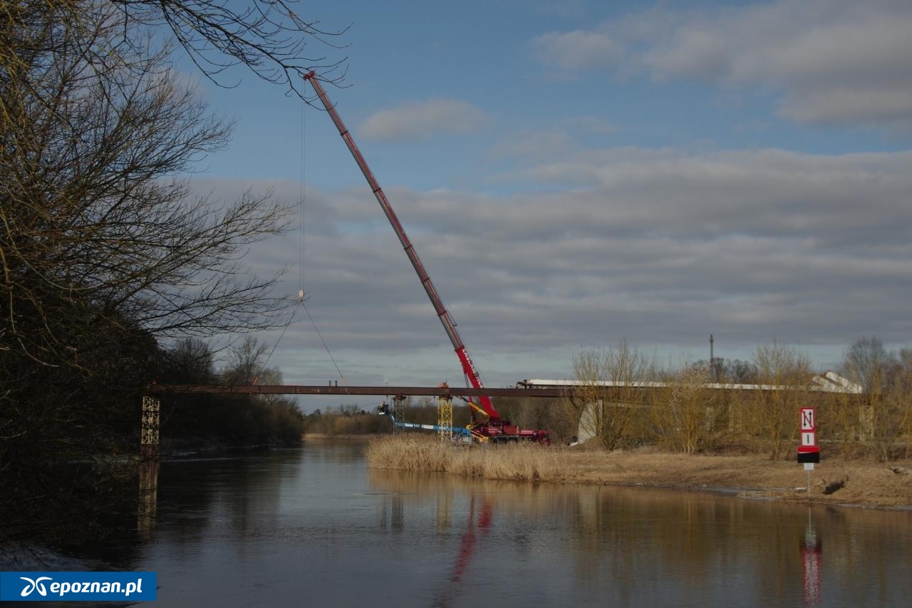 fot. Józef Topolewski