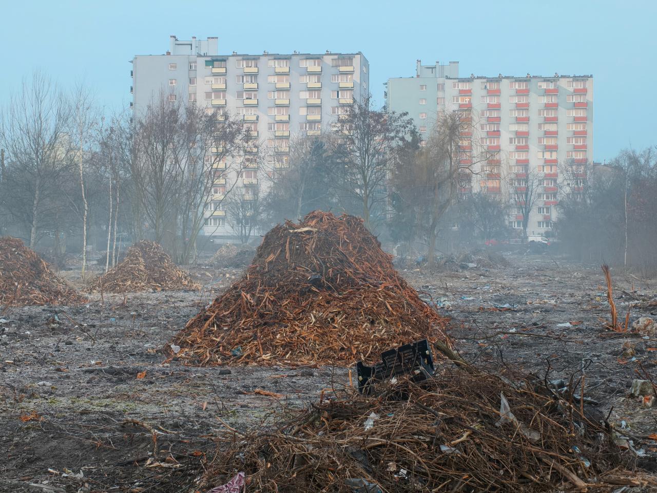 Wycinka na terenie byłych ogródków działkowych w Poznaniu. Coś tam powstanie?