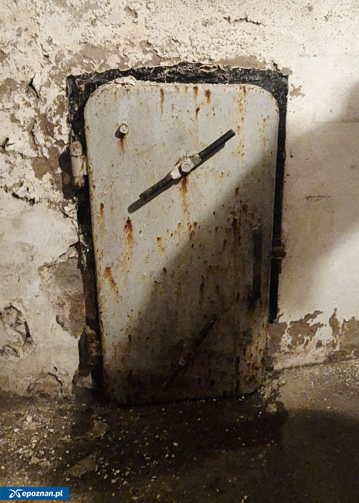 fot. Przedszkole nr 82 FB