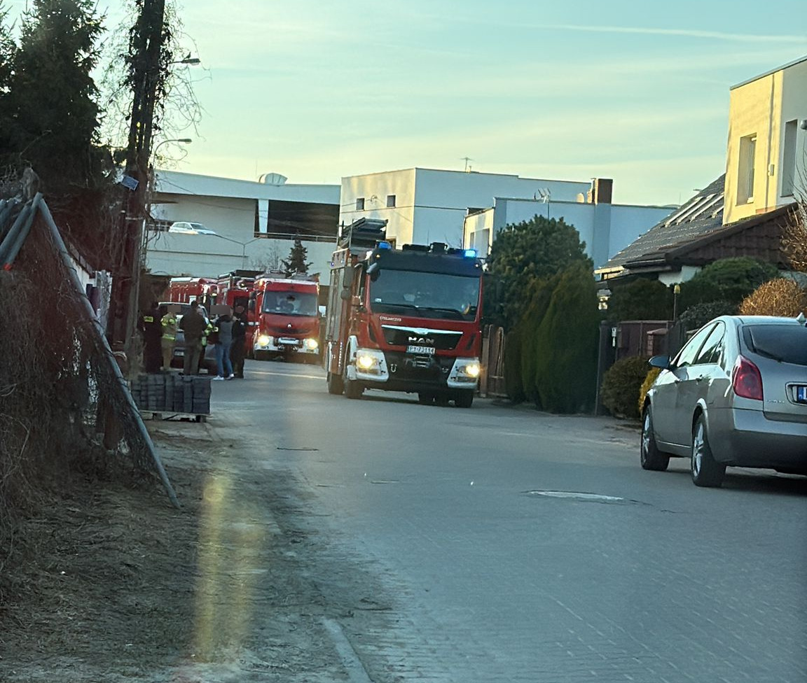 Duża akcja służb przy poznańskiej ulicy