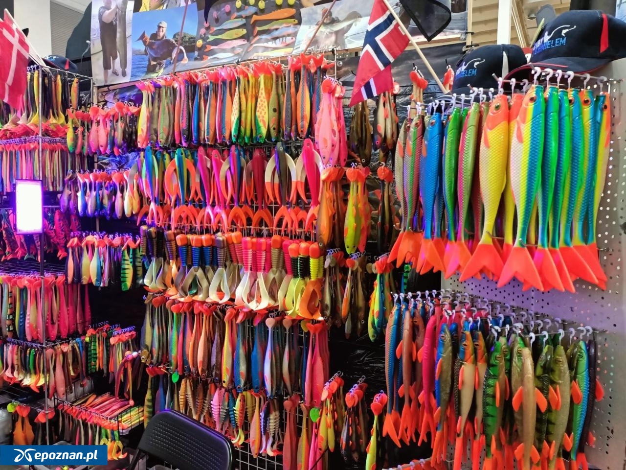 fot. Włodzimierz Hoppel