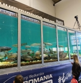 fot. Włodzimierz Hoppel