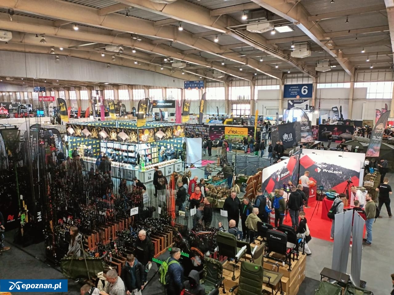 fot. Włodzimierz Hoppel