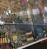 fot. Włodzimierz Hoppel