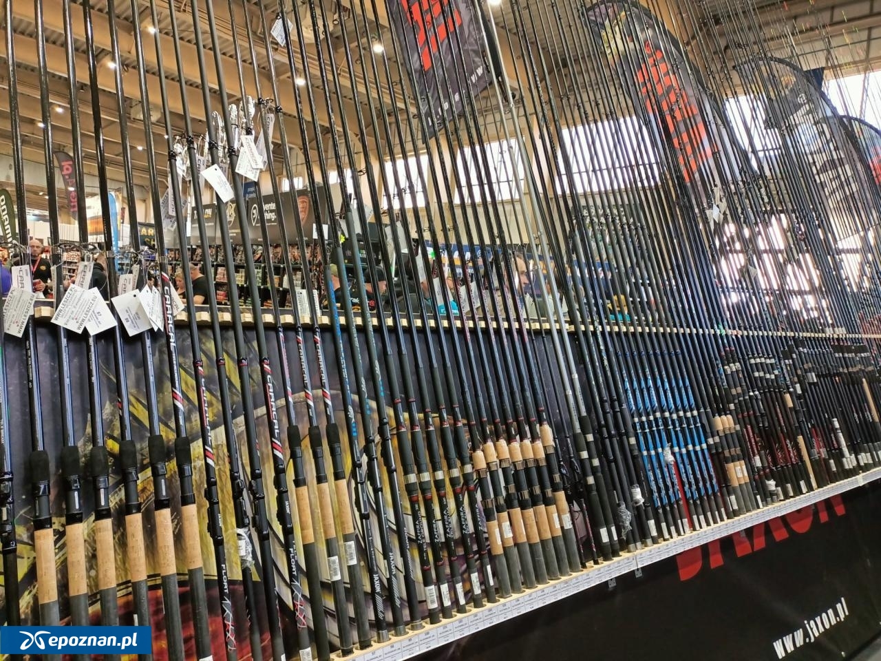 fot. Włodzimierz Hoppel