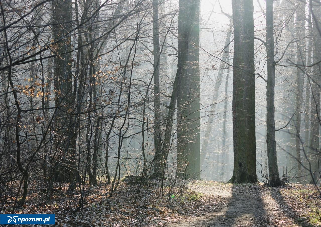 Okazja na spacer w tak magicznym miejscu zdarza się tylko kilka razy w roku. Trzeba poczekać na odpowiedni moment