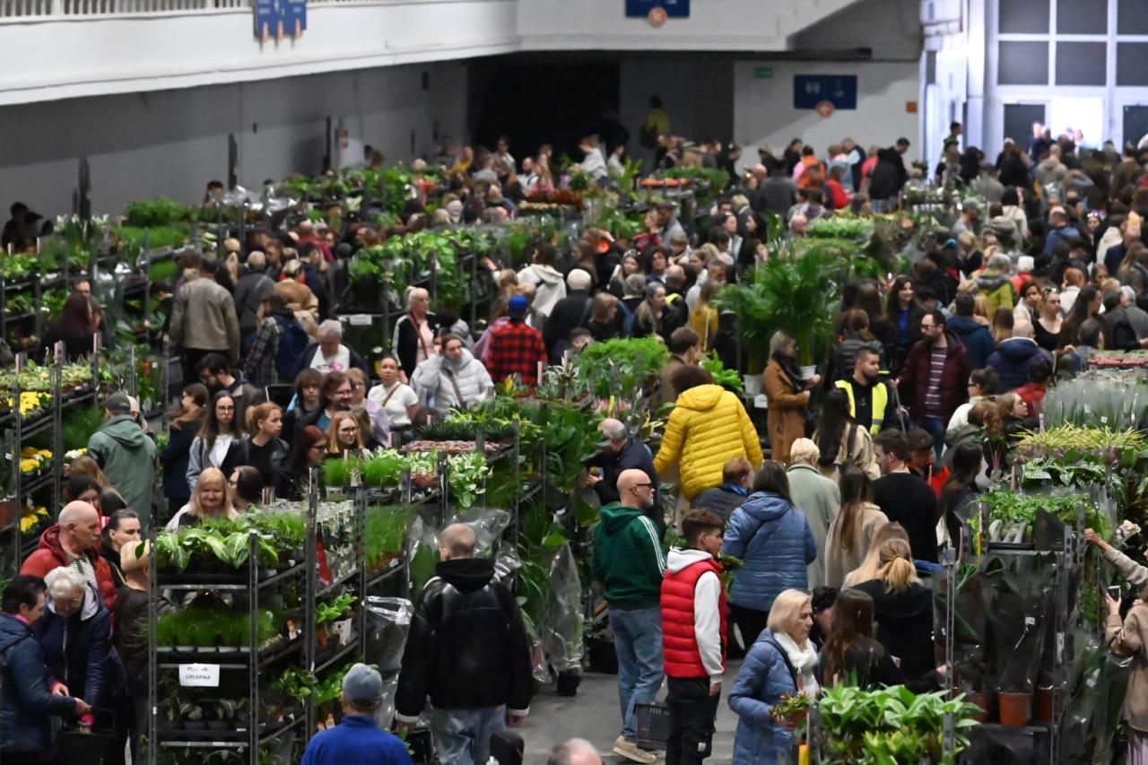 Rośliny znów przyciągają tłumy!