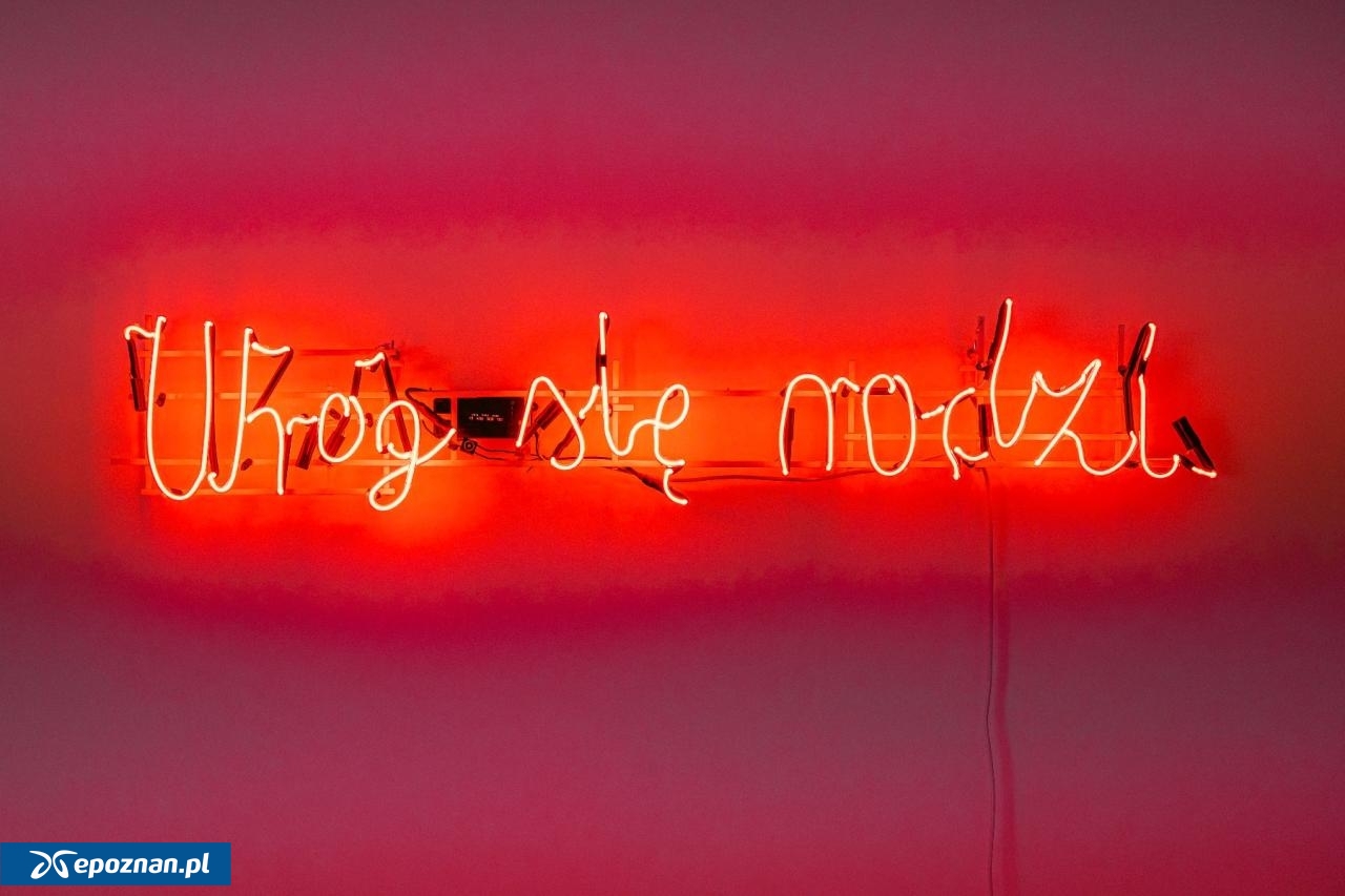 fot. UM Poznań