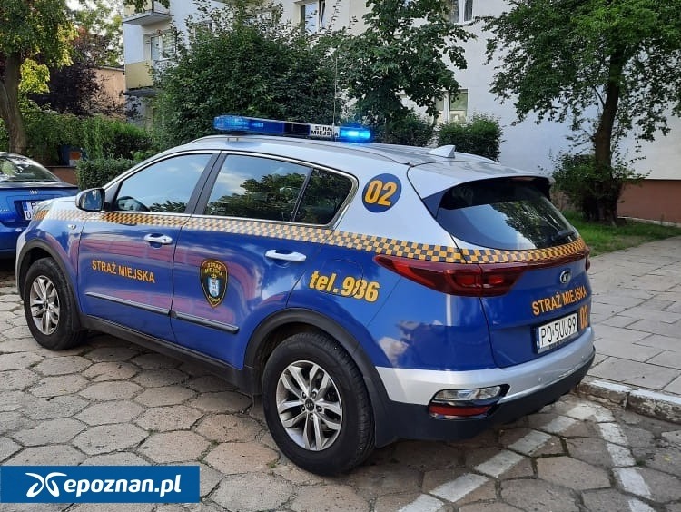 Poznańska straż miejska wystawia najwięcej mandatów w Polsce. Opublikowano ranking