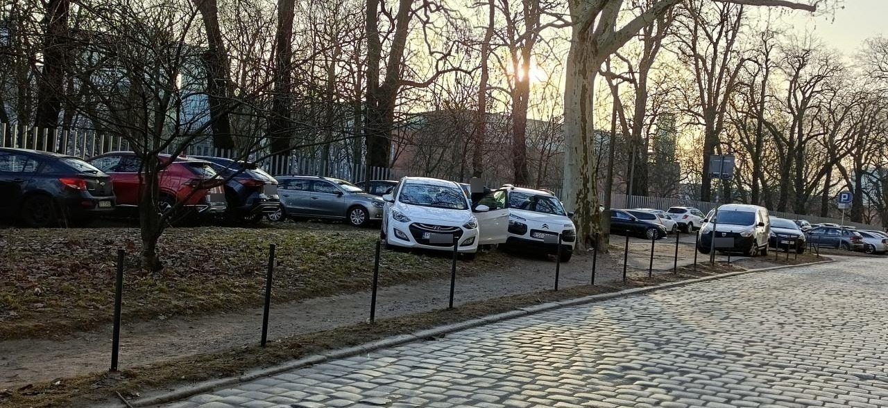 Nielegalny parking okazjonalnie powstaje w centrum Poznania. "Pozostaje to niezauważone"