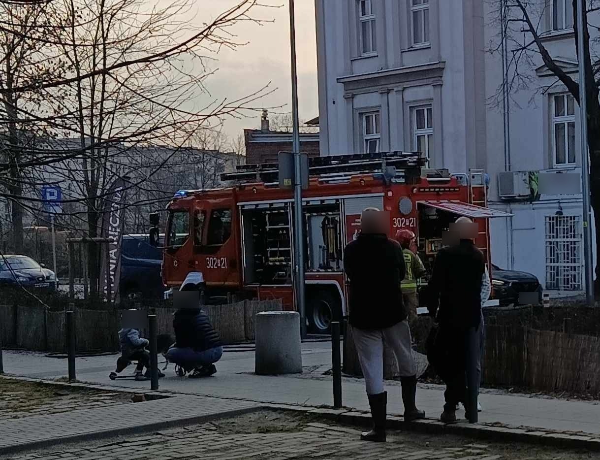 Kolejowa: pożar drzewa